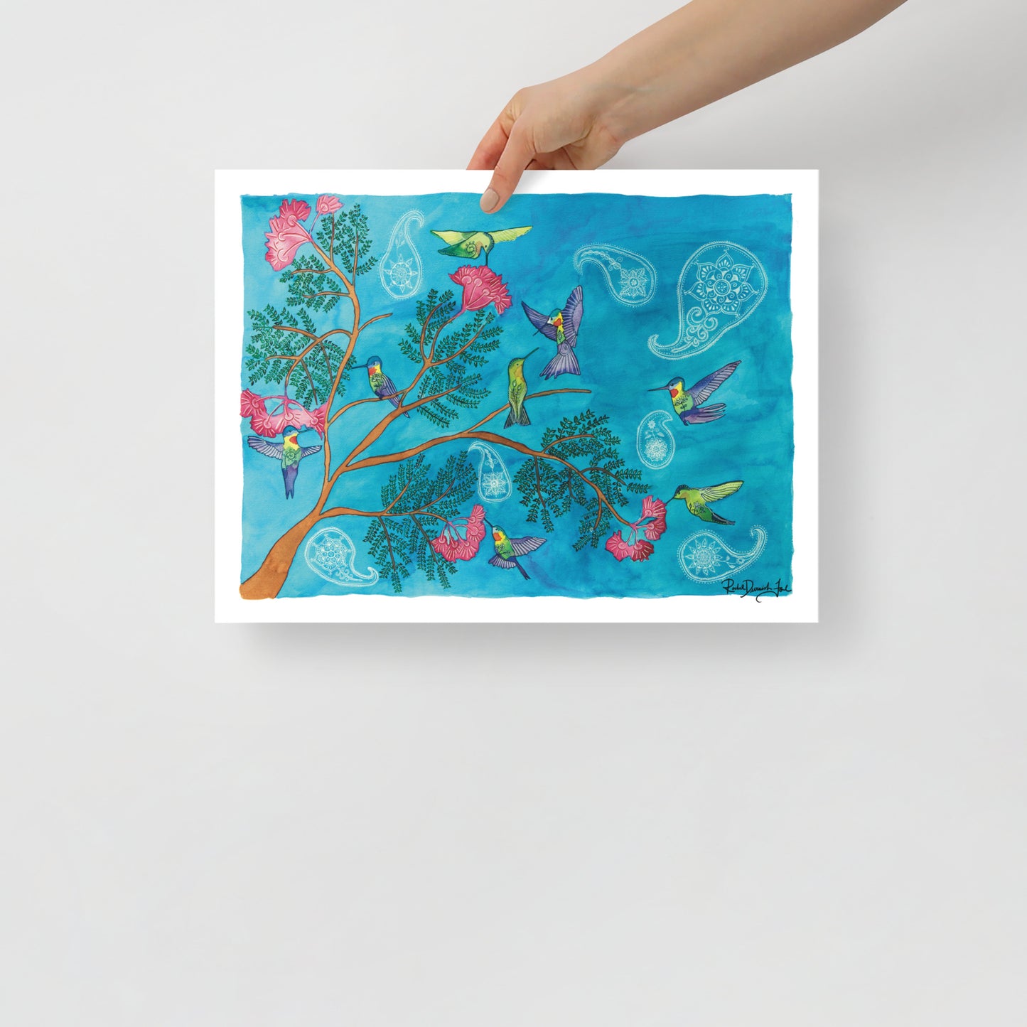 Hummingbirds: Watercolor Archival Print- Bird Illustration- Giclée Print