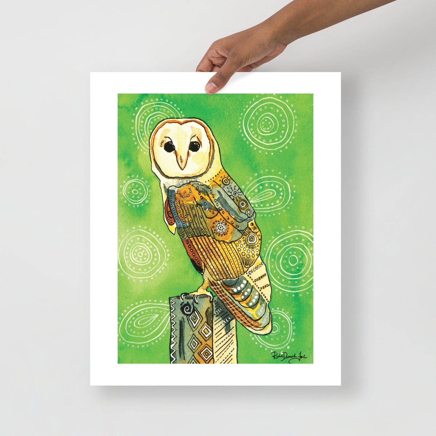 Barn owl print- bird art- watercolor and ink bird illustration
