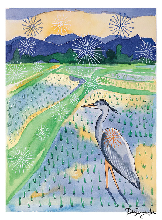 Grey Heron in Rice Field - Watercolor and Ink Archival Print- Animal Illustration- Bird Illustration by Rachel Devenish Ford