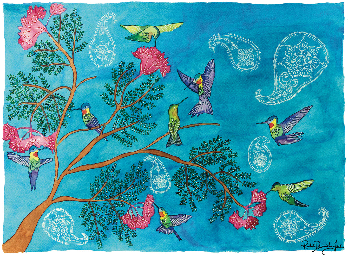 Hummingbirds: Watercolor Archival Print- Bird Illustration- Giclée Print