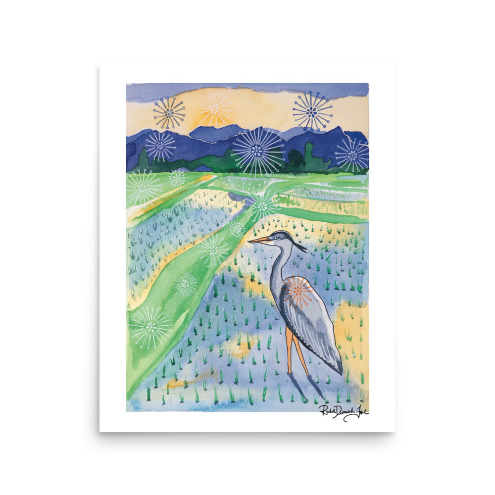 Grey Heron in Rice Field - Watercolor and Ink Archival Print- Animal Illustration- Bird Illustration by Rachel Devenish Ford
