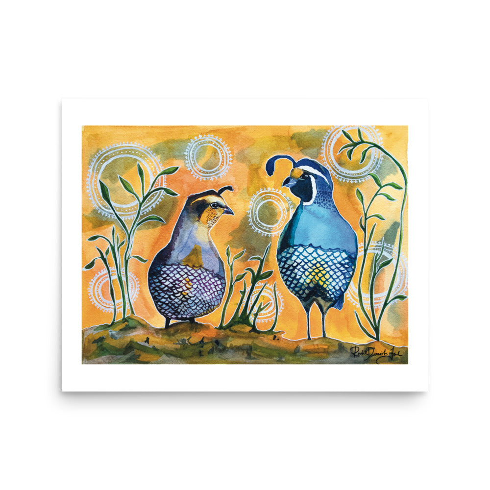 California Quail Couple - Watercolor and Ink Archival Print- Animal Illustration- Bird Illustration by Rachel Devenish Ford