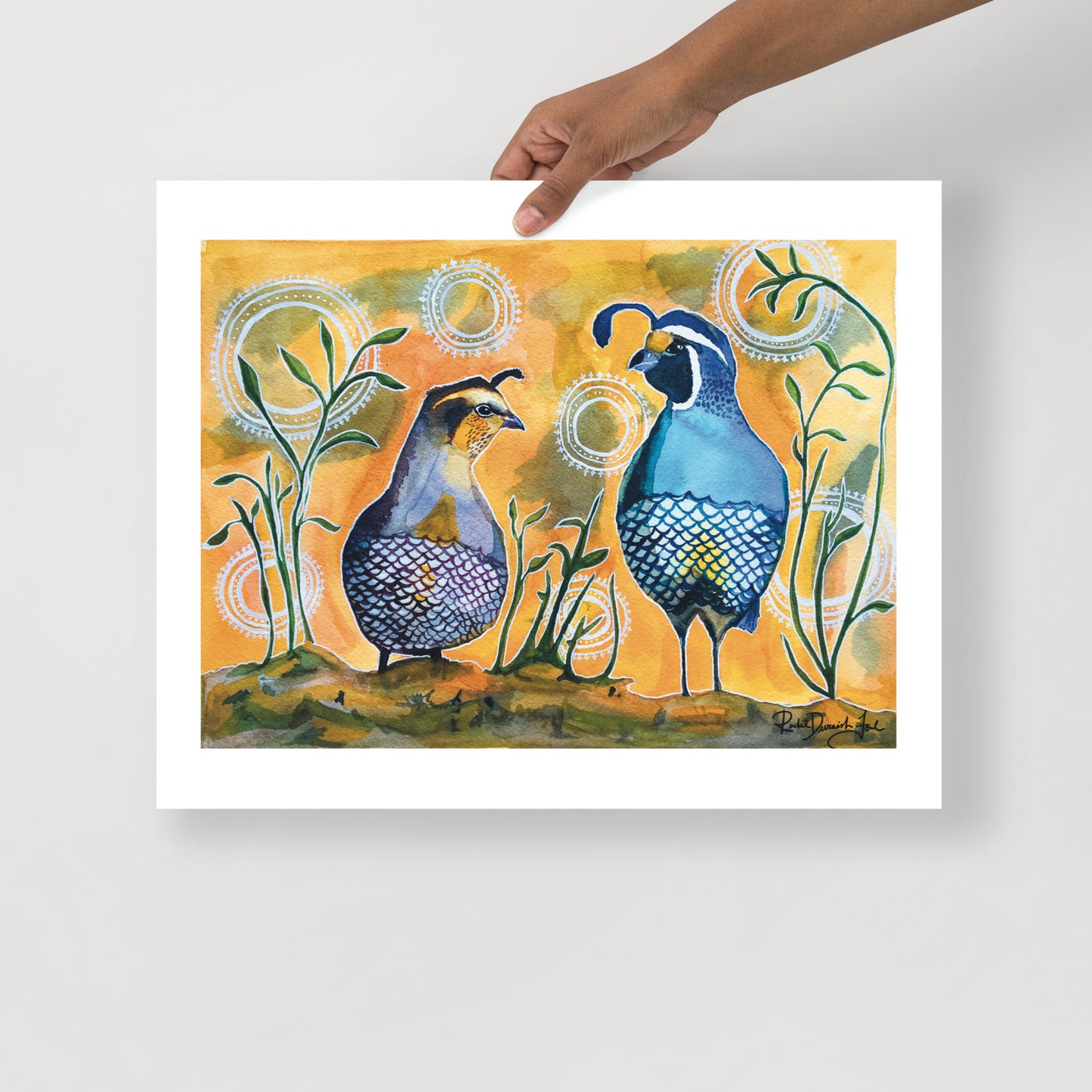 California Quail Couple - Watercolor and Ink Archival Print- Animal Illustration- Bird Illustration by Rachel Devenish Ford