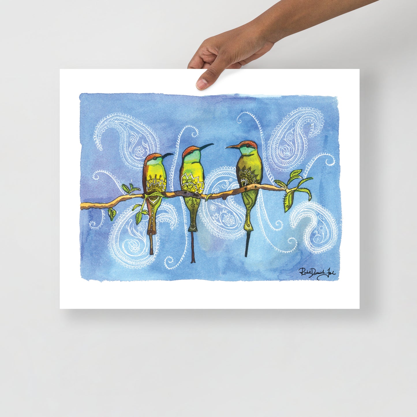 The Bee-eaters: Watercolor and Ink Archival Print- Bird Illustration- Giclee Print- by Rachel Devenish Ford
